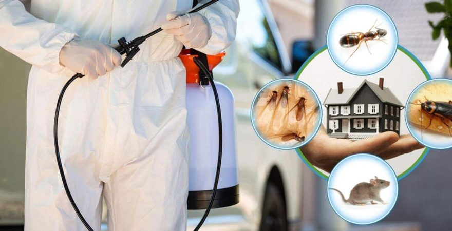 Ürgüp Böcek İlaçlama