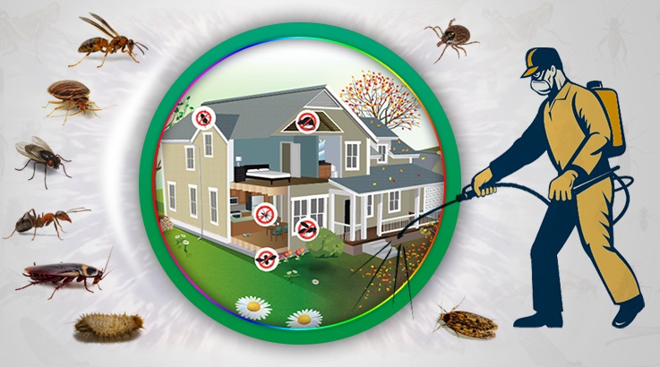 Ürgüp Böcek İlaçlama