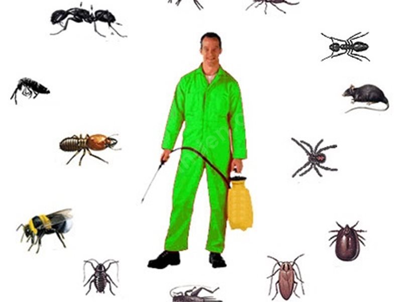 Ürgüp Böcek İlaçlama